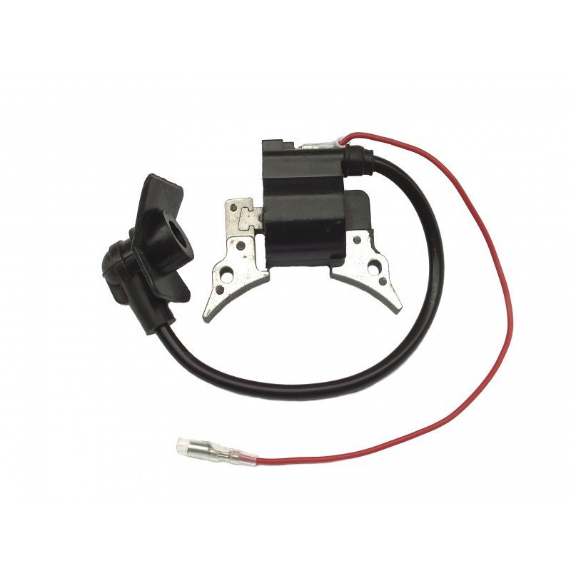 110601_2.jpg Strimmer Hedge Trimmer CG330 Ignition Coil