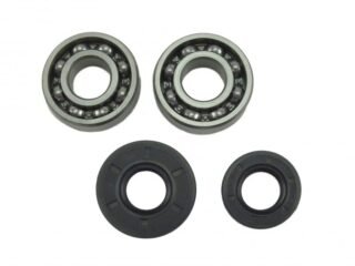 4500 5200 5800 Chinese Chainsaw 2x Crankshaft Bearing & Oil Seal