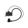 3800 38CC Chinese Chainsaw Ignition Coil