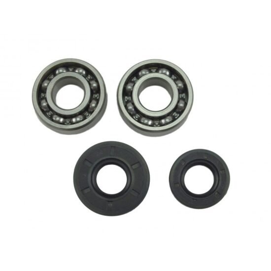 4500 5200 5800 Chinese Chainsaw 2x Crankshaft Bearing & Oil Seal