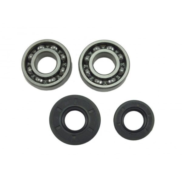 4500 5200 5800 Chinese Chainsaw 2x Crankshaft Bearing & Oil Seal