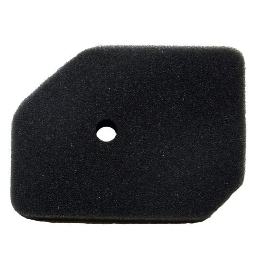 180619_1-scaled-1-2.jpg HONDA G100 HR17 Air Filter