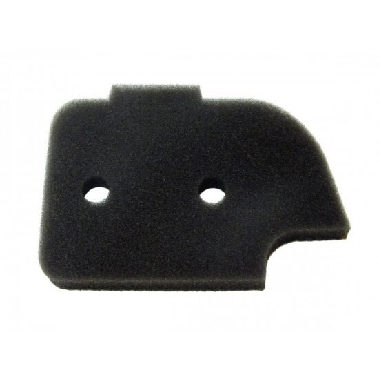 BLUE BIRD P41 P59 Air Filter