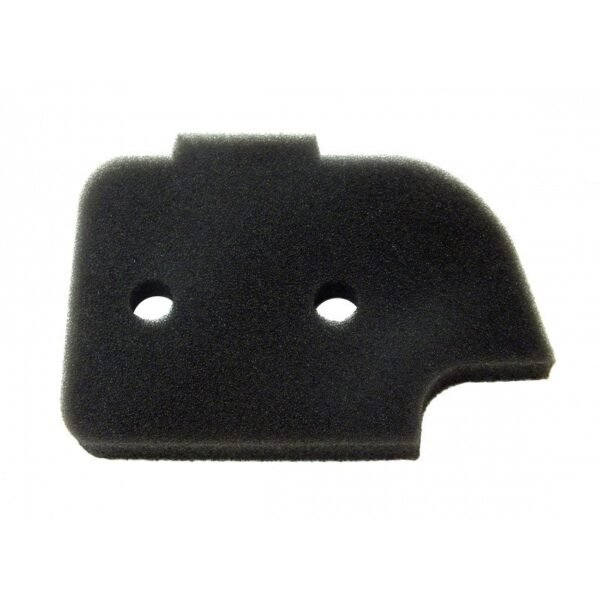 BLUE BIRD P41 P59 Air Filter