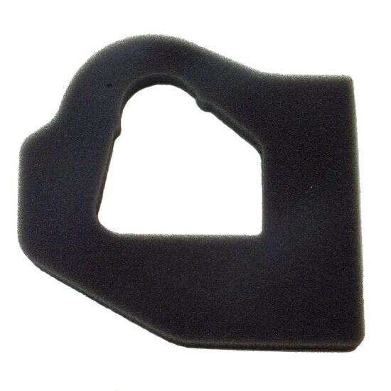 EFCO OLEO-MAC BC22 BC220 DS220 DS2200 Air Filter