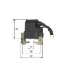 110600_3.jpg Strimmer Hedge Trimmer 1E40F-6 Ignition Coil